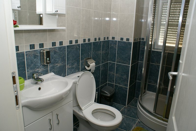 Kupatilo sa tuš-kabinom u apartmanu 1