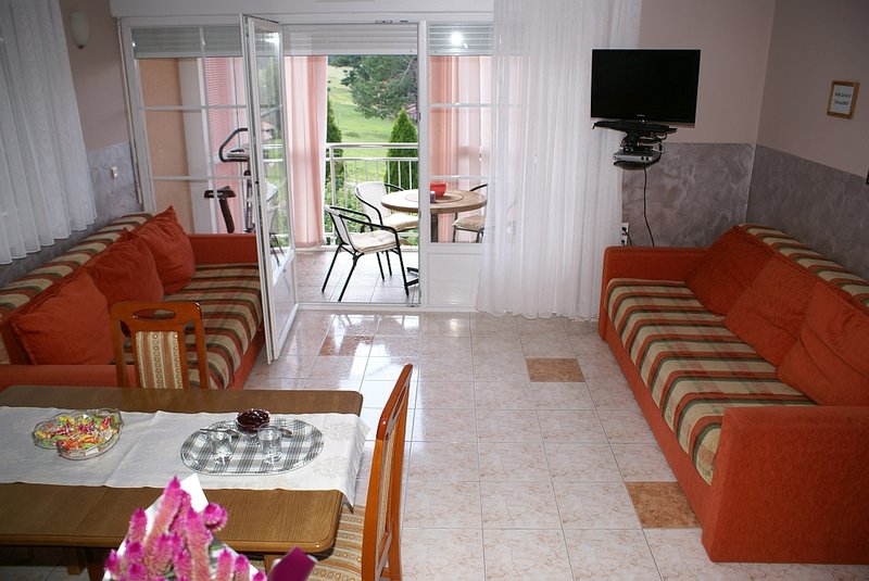 Dnevni boravak apartmana 1 sa izlazom na terasu