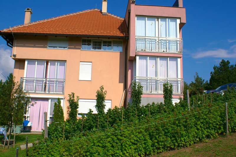 Villa Bella Vista sa terasama i zelenilom ispred kuće